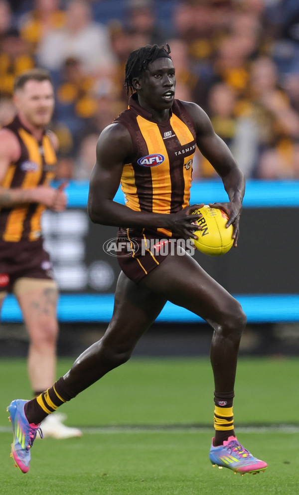 AFL 2025 Round 08 - Hawthorn v Richmond - A-59206848