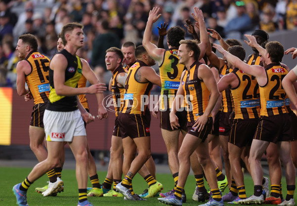 AFL 2025 Round 08 - Hawthorn v Richmond - A-59206916