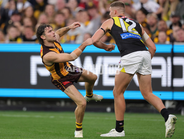AFL 2025 Round 08 - Hawthorn v Richmond - A-59206934