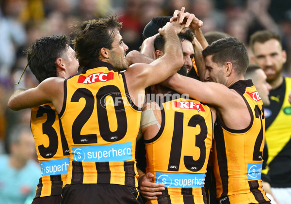 AFL 2025 Round 08 - Hawthorn v Richmond - A-59206937