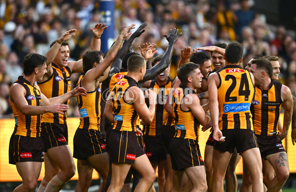 AFL 2025 Round 08 - Hawthorn v Richmond - A-59206938