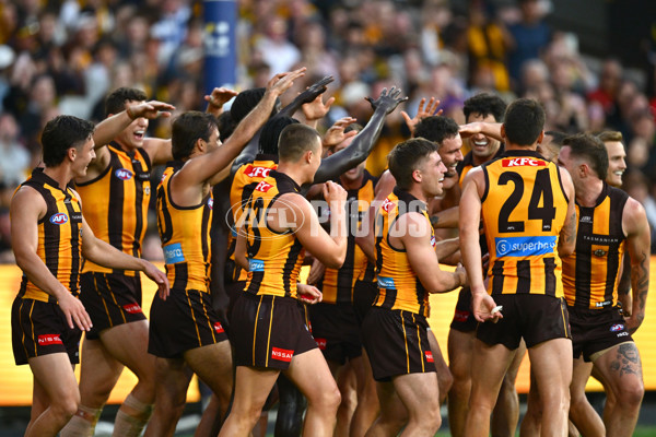AFL 2025 Round 08 - Hawthorn v Richmond - A-59206940