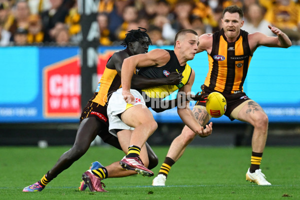 AFL 2025 Round 08 - Hawthorn v Richmond - A-59206968