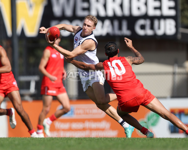 Young Guns Series 2025 - Young Guns v Victoria Country U18 Boys - A-59209243
