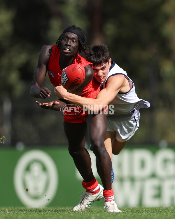 Young Guns Series 2025 - Young Guns v Victoria Country U18 Boys - A-59209246