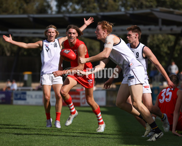 Young Guns Series 2025 - Young Guns v Victoria Country U18 Boys - A-59209262