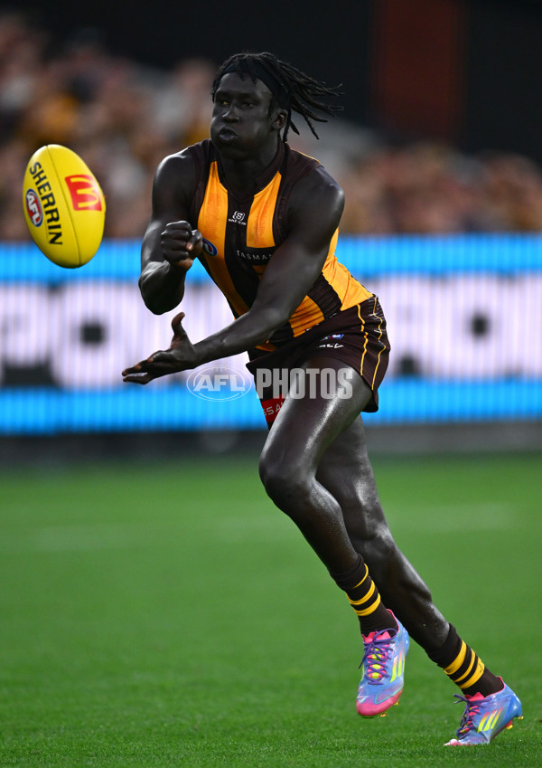 AFL 2025 Round 08 - Hawthorn v Richmond - A-59209324