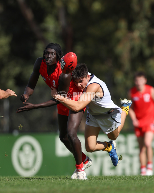 Young Guns Series 2025 - Young Guns v Victoria Country U18 Boys - A-59209347