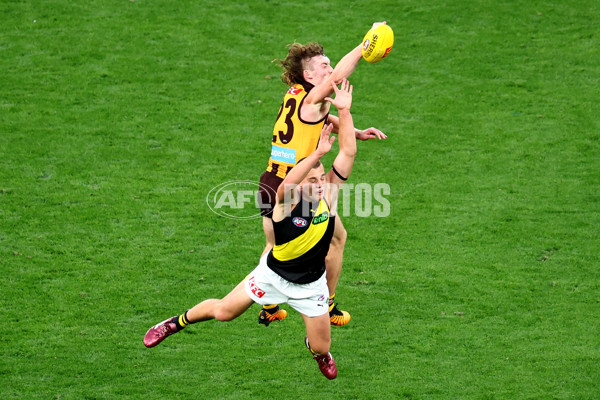 AFL 2025 Round 08 - Hawthorn v Richmond - A-59212062