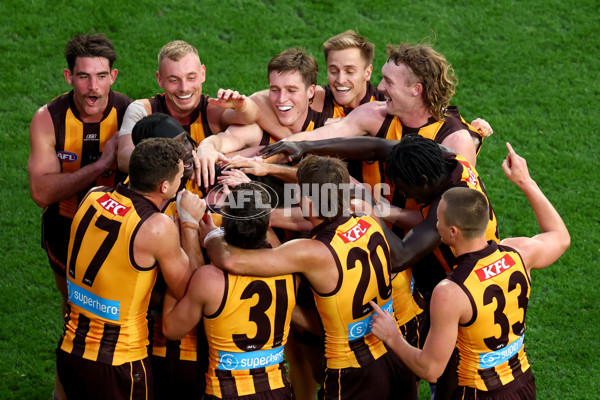 AFL 2025 Round 08 - Hawthorn v Richmond - A-59212075