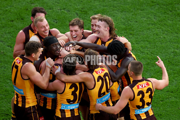 AFL 2025 Round 08 - Hawthorn v Richmond - A-59212079