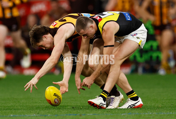 AFL 2025 Round 08 - Hawthorn v Richmond - A-59214298