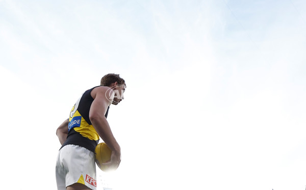 AFL 2025 Round 08 - Hawthorn v Richmond - A-59214299