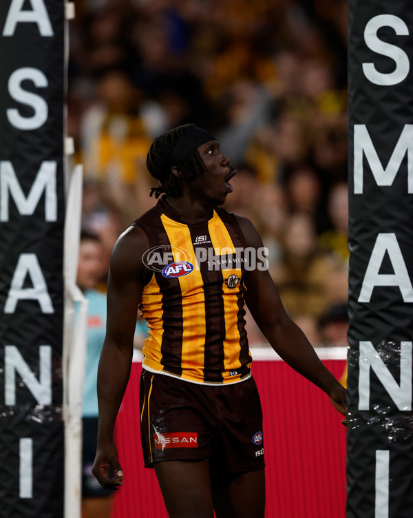 AFL 2025 Round 08 - Hawthorn v Richmond - A-59214302