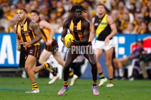 AFL 2025 Round 08 - Hawthorn v Richmond - A-59214886