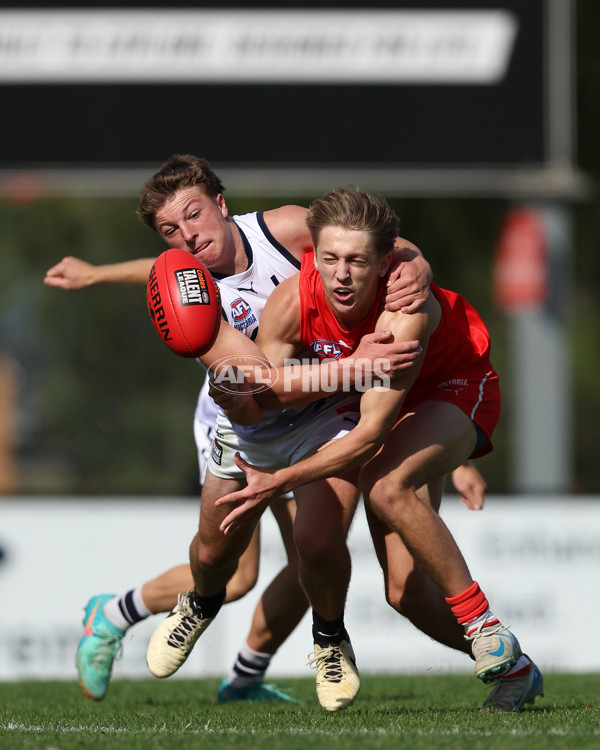 Young Guns Series 2025 - Young Guns v Victoria Country U18 Boys - A-59217233
