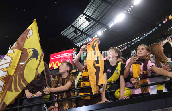 AFL 2025 Round 08 - Hawthorn v Richmond - A-59219383