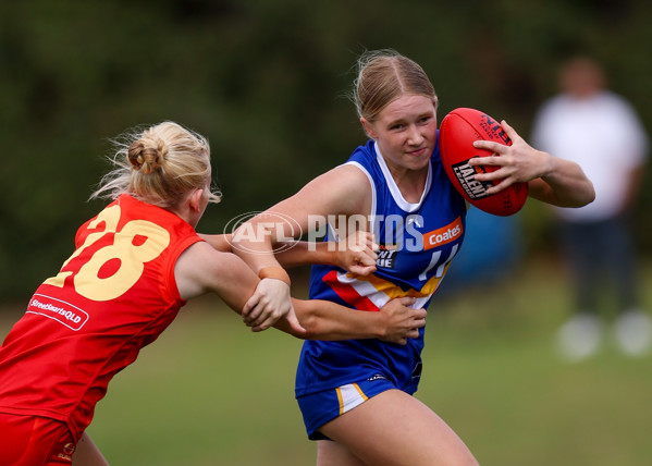 Coates League Girls 2025 Round 04 - Eastern Ranges v Gold Coast Academy - A-59226374