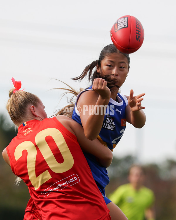 Coates League Girls 2025 Round 04 - Eastern Ranges v Gold Coast Academy - A-59226386