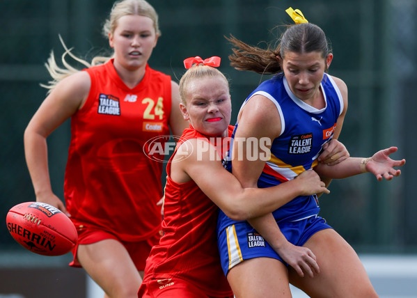 Coates League Girls 2025 Round 04 - Eastern Ranges v Gold Coast Academy - A-59226741