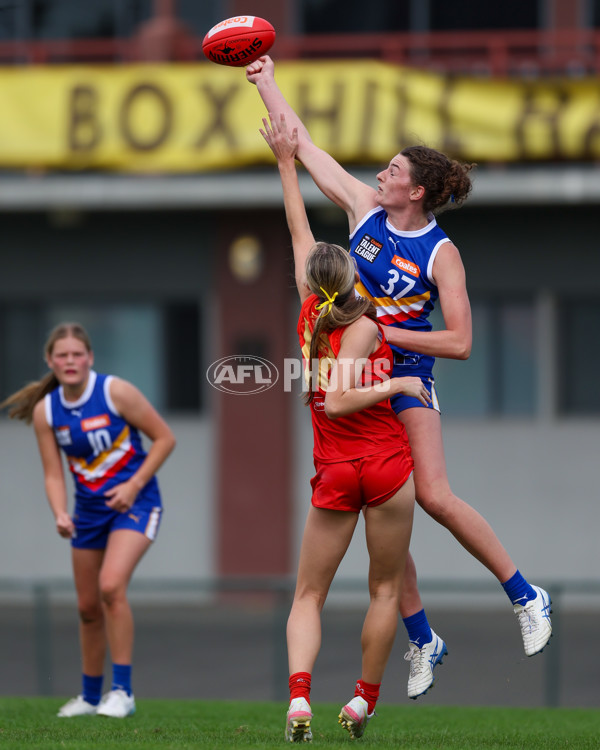 Coates League Girls 2025 Round 04 - Eastern Ranges v Gold Coast Academy - A-59226765