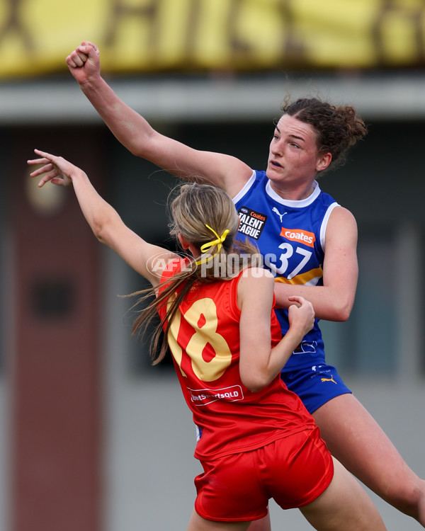 Coates League Girls 2025 Round 04 - Eastern Ranges v Gold Coast Academy - A-59226770