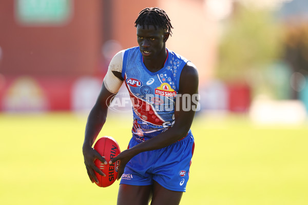 AFL 2025 Training - Western Bulldogs 060525 - A-59238797