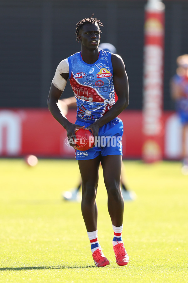 AFL 2025 Training - Western Bulldogs 060525 - A-59238809