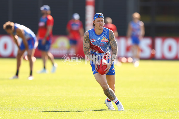 AFL 2025 Training - Western Bulldogs 060525 - A-59238819