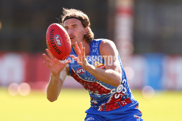 AFL 2025 Training - Western Bulldogs 060525 - A-59241374