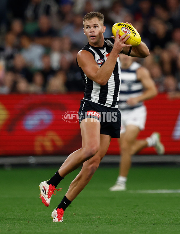 AFL 2025 Round 08 - Collingwood v Geelong - A-59336812