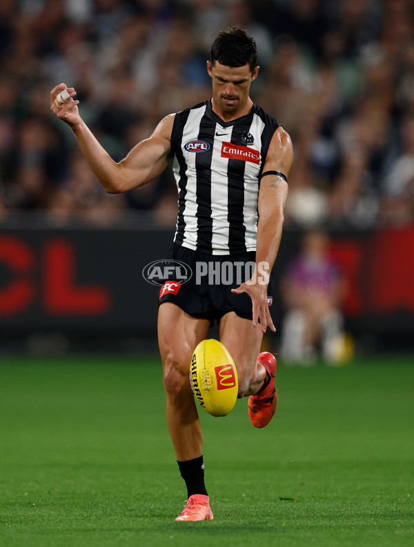 AFL 2025 Round 08 - Collingwood v Geelong - A-59336813