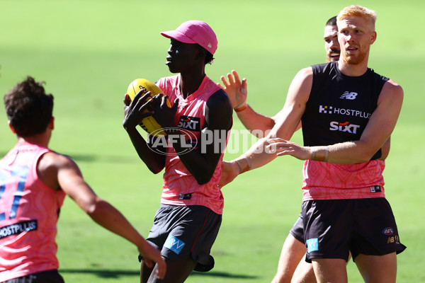 AFL 2025 Training - Gold Coast 080525 - A-59340194