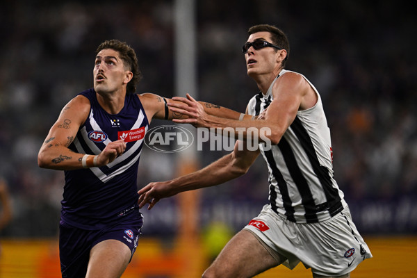AFL 2025 Round 09 - Fremantle v Collingwood - A-59344486
