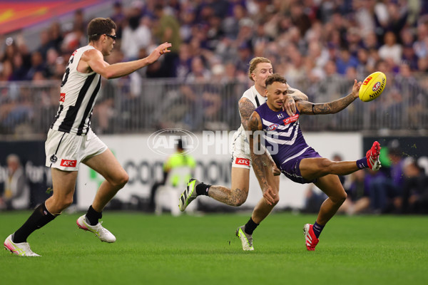 AFL 2025 Round 09 - Fremantle v Collingwood - A-59344528
