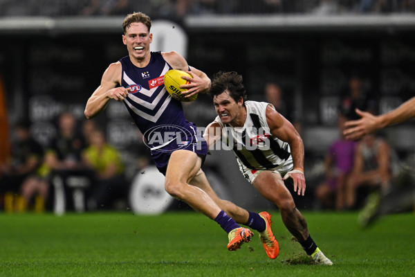 AFL 2025 Round 09 - Fremantle v Collingwood - A-59344535