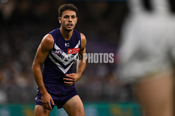 AFL 2025 Round 09 - Fremantle v Collingwood - A-59344536