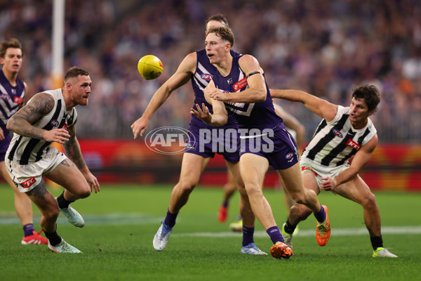AFL 2025 Round 09 - Fremantle v Collingwood - A-59345826