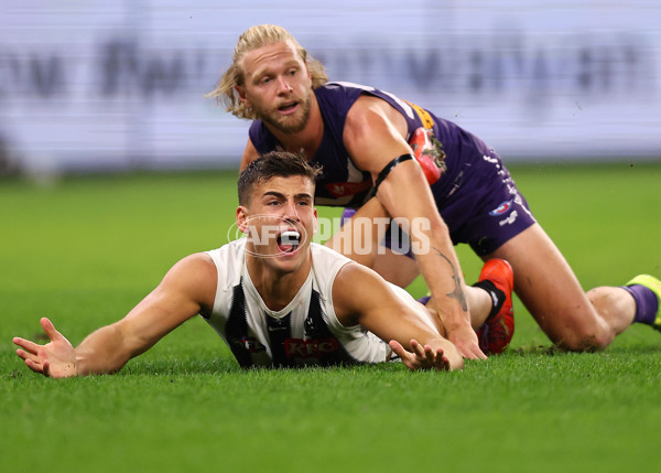 AFL 2025 Round 09 - Fremantle v Collingwood - A-59348409