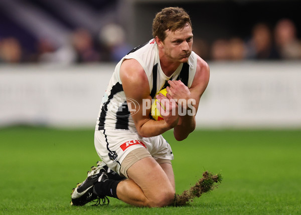 AFL 2025 Round 09 - Fremantle v Collingwood - A-59349676