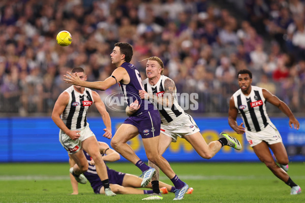 AFL 2025 Round 09 - Fremantle v Collingwood - A-59350841