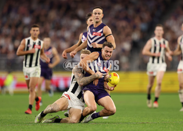 AFL 2025 Round 09 - Fremantle v Collingwood - A-59352275