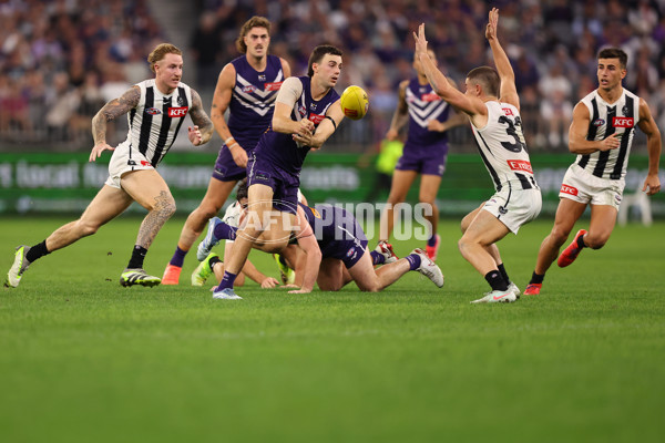 AFL 2025 Round 09 - Fremantle v Collingwood - A-59352298