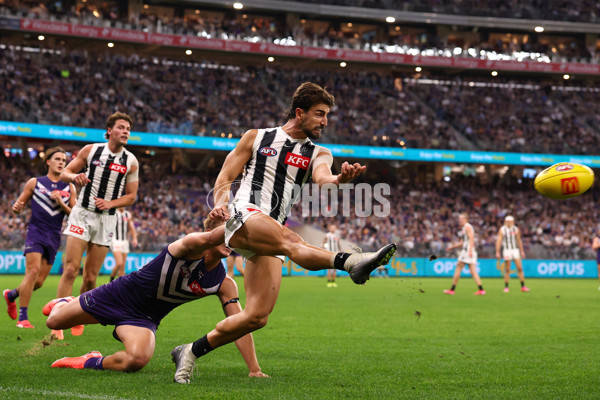 AFL 2025 Round 09 - Fremantle v Collingwood - A-59352305