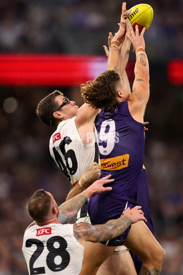 AFL 2025 Round 09 - Fremantle v Collingwood - A-59354517