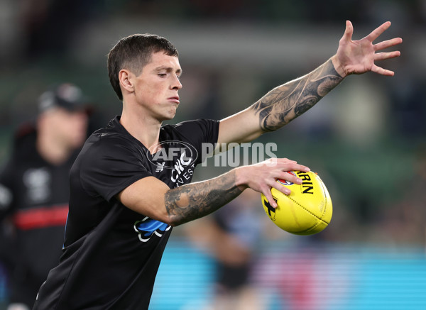 AFL 2025 Round 09 - St Kilda v Carlton - A-59358645