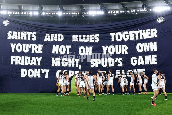 AFL 2025 Round 09 - St Kilda v Carlton - A-59360180