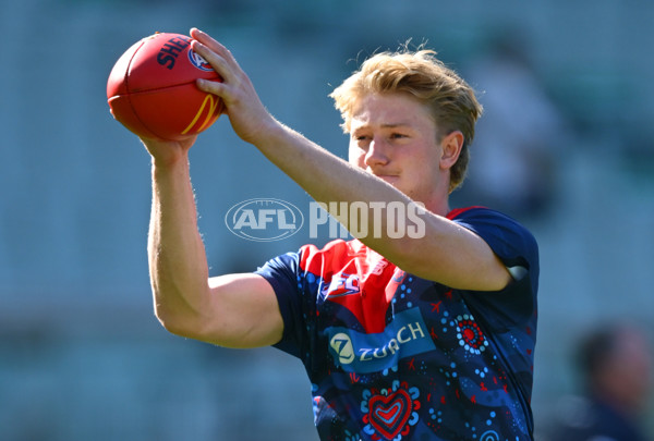 AFL 2025 Round 09 - Melbourne v Hawthorn - A-59366485