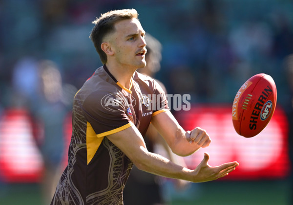 AFL 2025 Round 09 - Melbourne v Hawthorn - A-59372859