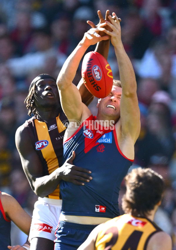 AFL 2025 Round 09 - Melbourne v Hawthorn - A-59372926